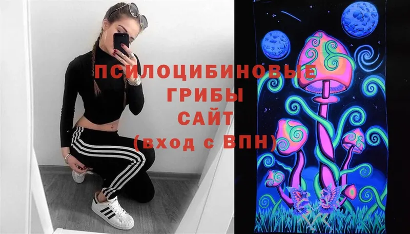 Псилоцибиновые грибы Psilocybe  Рыбинск 